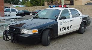 634565953638962802 Phản ứng như thế nào khi bạn lái xe tại Mỹ mà bị cảnh sát bắt?