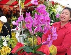 Cuộc sống của người Việt xa quê hương 634566038083939121 Cuộc sống của người Việt xa quê hương