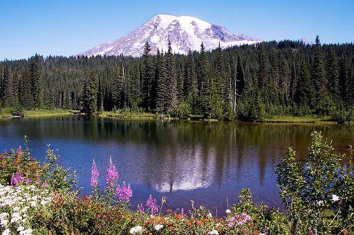 Thông tin về tiểu bang Washington 634635051666729222 Thông tin về tiểu bang Washington