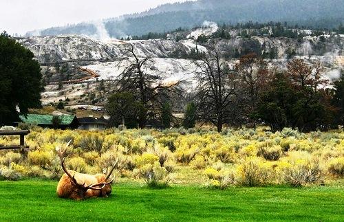 634824087387890000 Hình ảnh đẹp ở vườn quốc gia Yellowstone 