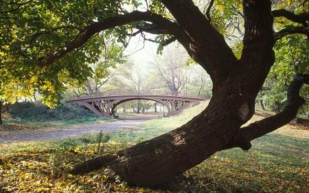 Đến New York thì nên chụp ảnh ở là đâu đẹp nhất? 634825842838150000 Đến New York thì nên chụp ảnh ở là đâu đẹp nhất?