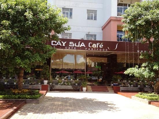  Cây Sưa Cafe bar