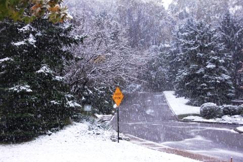 634831472917560000 Mùa tuyết sớm ở Pittsburgh 