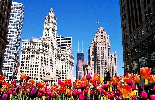 Thông tin về thành phố Chicago 634840016209510000 Thông tin về thành phố Chicago