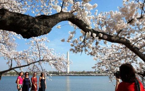 Vẻ đẹp thủ đô nước Mỹ Washington DC 634855241573840000 Vẻ đẹp thủ đô nước Mỹ Washington DC