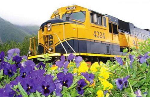 634856087617140000 Đường sắt Alaska   Tuyến đường sắt đẹp nhất thế giới 