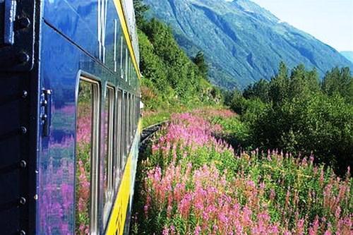 634856087658270000 Đường sắt Alaska   Tuyến đường sắt đẹp nhất thế giới 