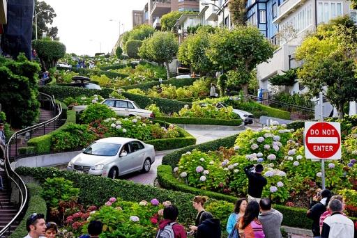 Đường hoa xinh đẹp Lombard 634856479135100000 Đường hoa xinh đẹp Lombard