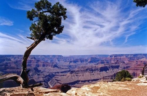 634887334923140000 Sắc màu thần tiên ở Grand Canyon