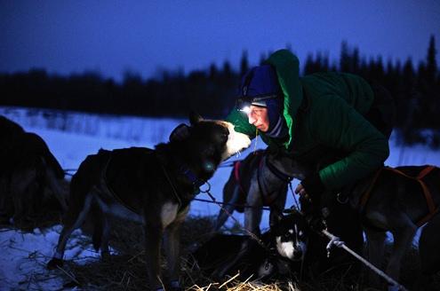 634898460008780000 Giải đua chó kéo xe trượt tuyết Iditarod ở bang Alaska (Mỹ)