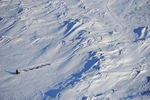 634898460018960000 Giải đua chó kéo xe trượt tuyết Iditarod ở bang Alaska (Mỹ)