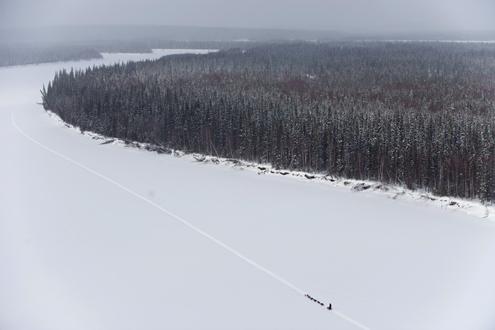 634898460032990000 Giải đua chó kéo xe trượt tuyết Iditarod ở bang Alaska (Mỹ)