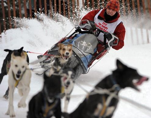 Khoảng khắc đẹp cuộc đua chó Iditarod 2012 tại Alaska 634898623347690000 Khoảng khắc đẹp cuộc đua chó Iditarod 2012 tại Alaska