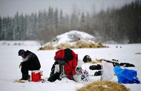 634898623377000000 Khoảng khắc đẹp cuộc đua chó Iditarod 2012 tại Alaska