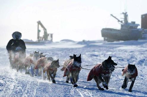 634898623386230000 Khoảng khắc đẹp cuộc đua chó Iditarod 2012 tại Alaska