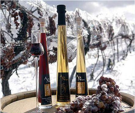 634899836637770000 Rượu Vang Đá (Ice wine) tại thung lũng Napa