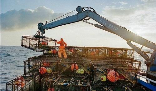 Nghề bắt cua biển ở Alaska Nghề hái ra tiền 634903996511610000 Nghề bắt cua biển ở Alaska Nghề hái ra tiền