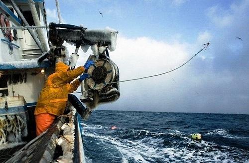 Nghề bắt cua biển ở Alaska Nghề hái ra tiền 634903996531210000 Nghề bắt cua biển ở Alaska Nghề hái ra tiền