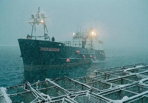 Nghề bắt cua biển ở Alaska Nghề hái ra tiền 634903996564910000 Nghề bắt cua biển ở Alaska Nghề hái ra tiền