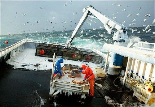 Nghề bắt cua biển ở Alaska Nghề hái ra tiền 634903996584600000 Nghề bắt cua biển ở Alaska Nghề hái ra tiền