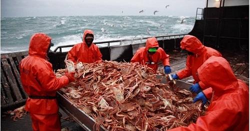 Nghề bắt cua biển ở Alaska Nghề hái ra tiền 634903996614320000 Nghề bắt cua biển ở Alaska Nghề hái ra tiền