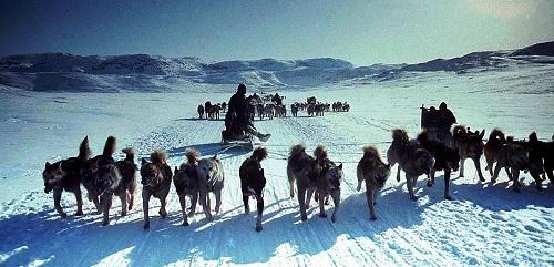 634904011945190000 Tìm hiểu về người Eskimo ở Alaska