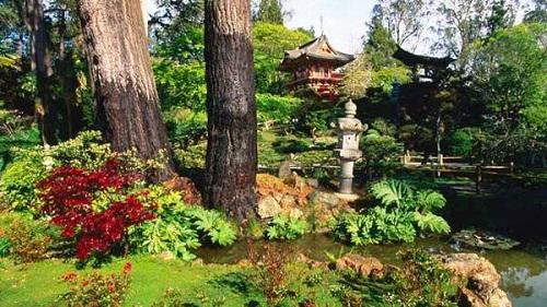 Cảnh đẹp thơ mộng San Francisco 634904905422580000 Cảnh đẹp thơ mộng San Francisco