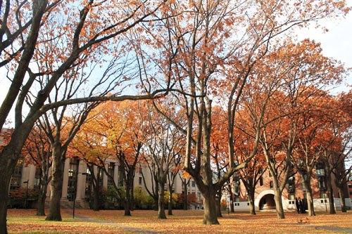 Cảnh sắc mùa thu Boston (bang Massachusseft) 634906200768190000 Cảnh sắc mùa thu Boston (bang Massachusseft)