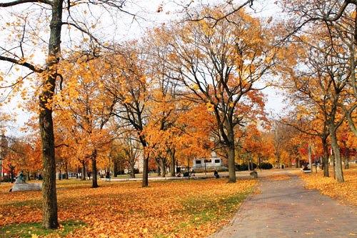 Cảnh sắc mùa thu Boston (bang Massachusseft) 634906200879600000 Cảnh sắc mùa thu Boston (bang Massachusseft)