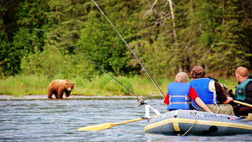 634906456169650000 Du lịch Alaska  : Câu cá hồi ở Alaska 