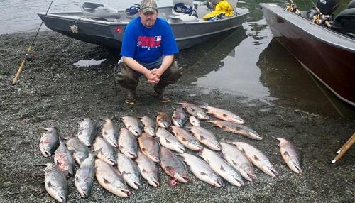 634906456189850000 Du lịch Alaska  : Câu cá hồi ở Alaska 