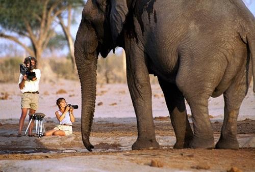 634936772949850000 125 năm lịch sử National Geographic Society