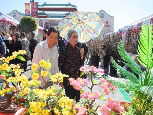 634952845857690000 Chợ hoa Tết Việt trên phố Bolsa