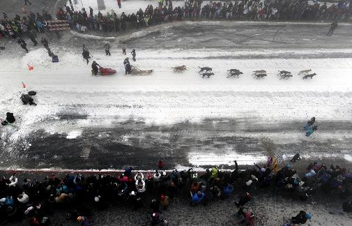 634994778970930380 Giải đua chó   Iditarod Trail Sled Dog Race 2013 tại Alaska.