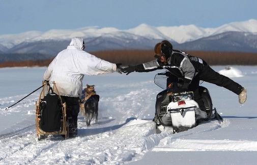 634994779164951165 Giải đua chó   Iditarod Trail Sled Dog Race 2013 tại Alaska.
