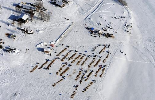 634994779300401480 Giải đua chó   Iditarod Trail Sled Dog Race 2013 tại Alaska.