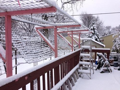  Cảnh sắc tuyết muộn Ohio