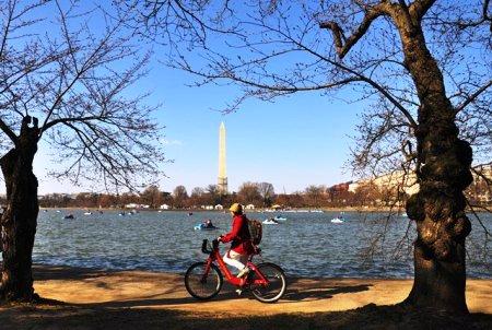 635003283050656150 Thủ đô nước Mỹ trước ngày hoa anh đào nở ven hồ Tidal Basin