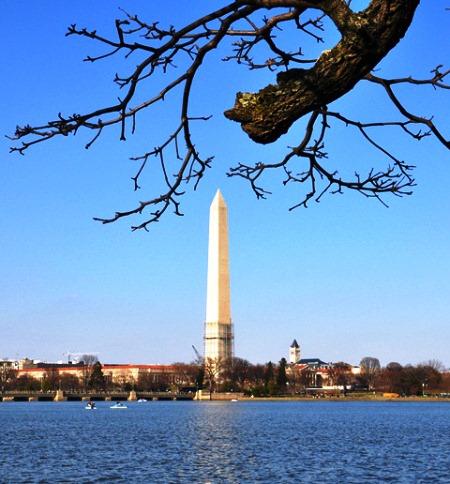 635003283071914555 Thủ đô nước Mỹ trước ngày hoa anh đào nở ven hồ Tidal Basin