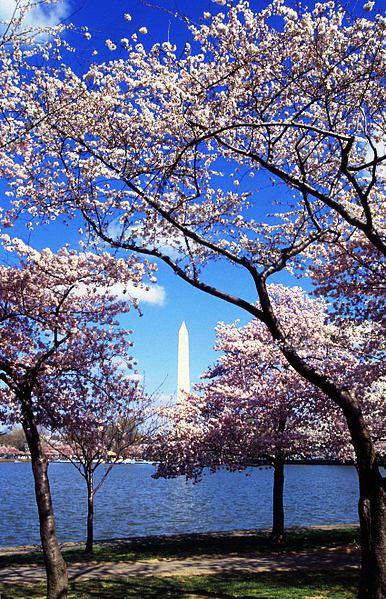 Hồ Basin Tidal Washington, DC 635003313615223330 Hồ Basin Tidal Washington, DC