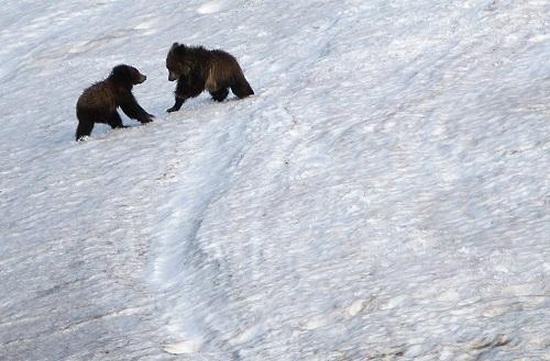 635042846297134195 Hình ảnh công viên quốc gia Yellowstone