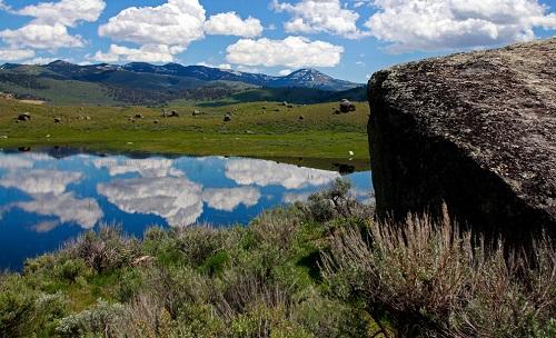 635042846546327230 Hình ảnh công viên quốc gia Yellowstone