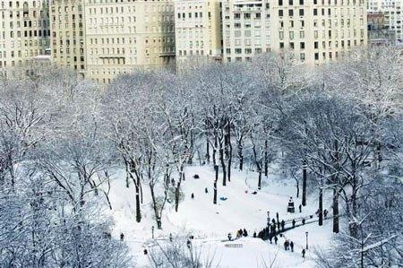 635067823088099665 Cảnh sắc 4 mùa trong Công viên Trung tâm (Central Park)