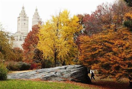 635067823345231645 Cảnh sắc 4 mùa trong Công viên Trung tâm (Central Park)