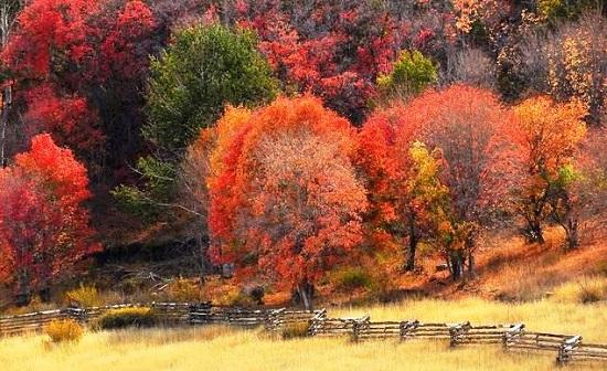  Cảnh sắc quyến rũ của mùa thu nước Mỹ 