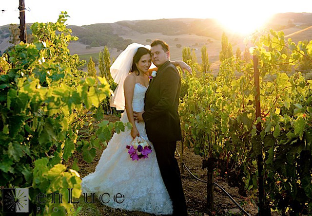 0001 Tour du lịch và tuần trăng mật và chụp ảnh cưới ở Napa Valley