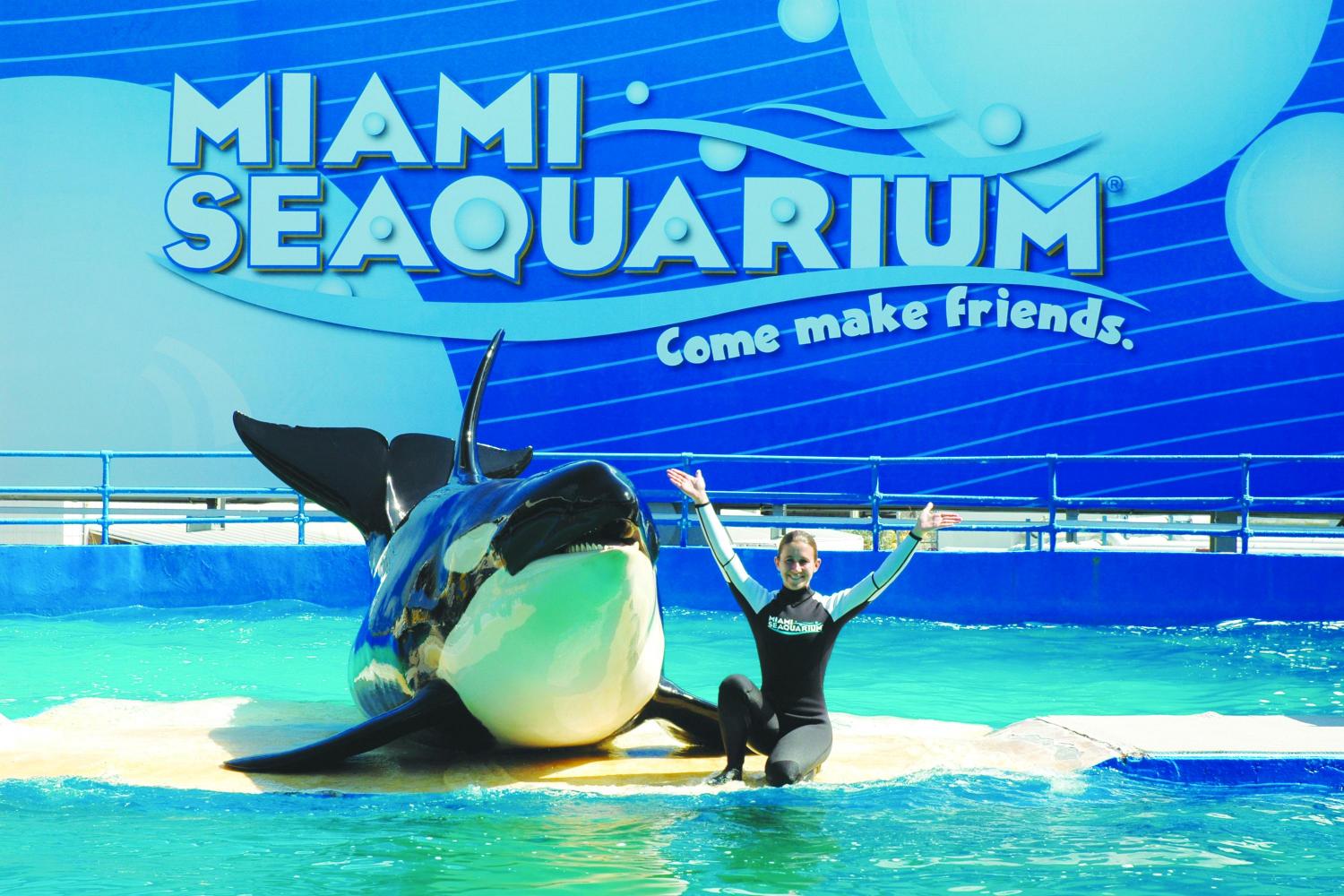 Tour du lịch trong 7 ngày Miami Everglades Seaquarium large Tour du lịch trong 7 ngày Miami Everglades Seaquarium