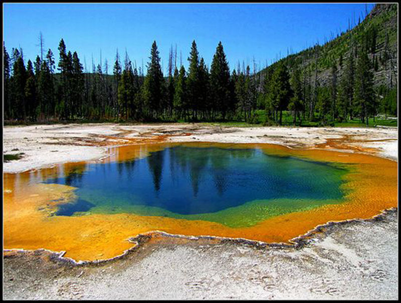 Tour du lịch trong 9 ngày Mt. Rushmore Denver Yellowstone yellowstone 2 Tour du lịch trong 9 ngày Mt. Rushmore Denver Yellowstone