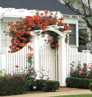 cong1 1347621125 Thiết kế cổng xinh cho nhà thêm đẹp và thơ mộng