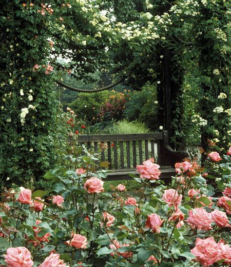 dc65b57f6969524dbdfc5db6a8bea912 Thiết kế vườn hoa hồng độc đáo và thơm ngát ngay trong khu vườn nhà bạn